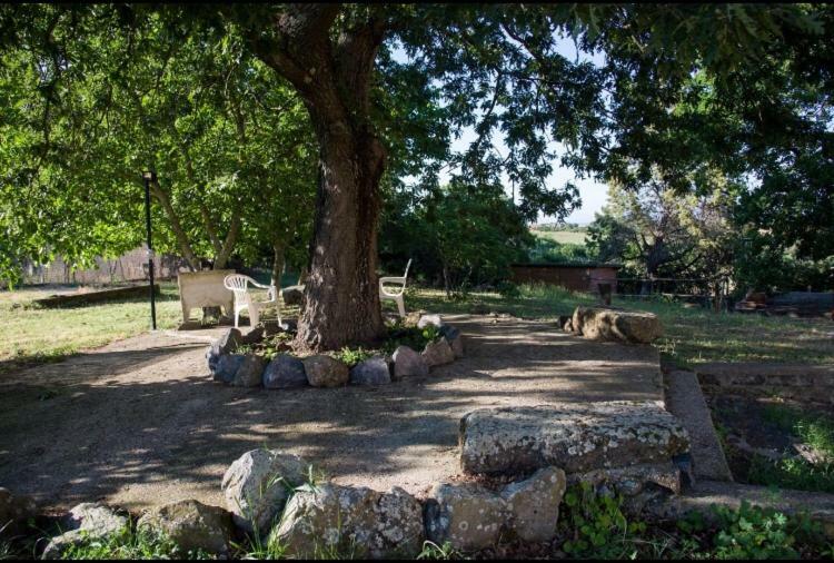 Favoloso Appartamento In Villa Monterosi Ngoại thất bức ảnh
