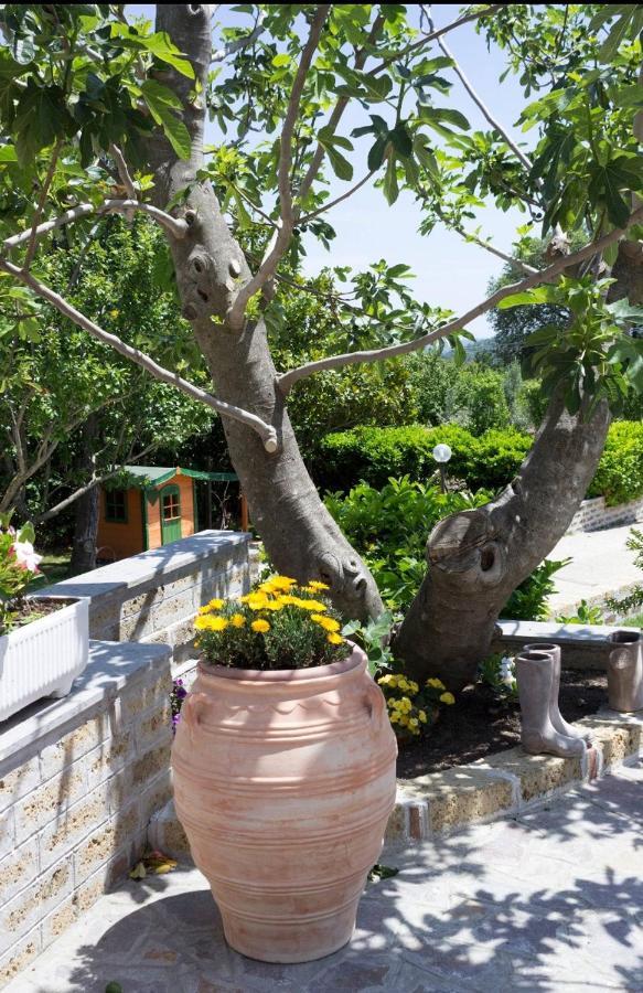 Favoloso Appartamento In Villa Monterosi Ngoại thất bức ảnh